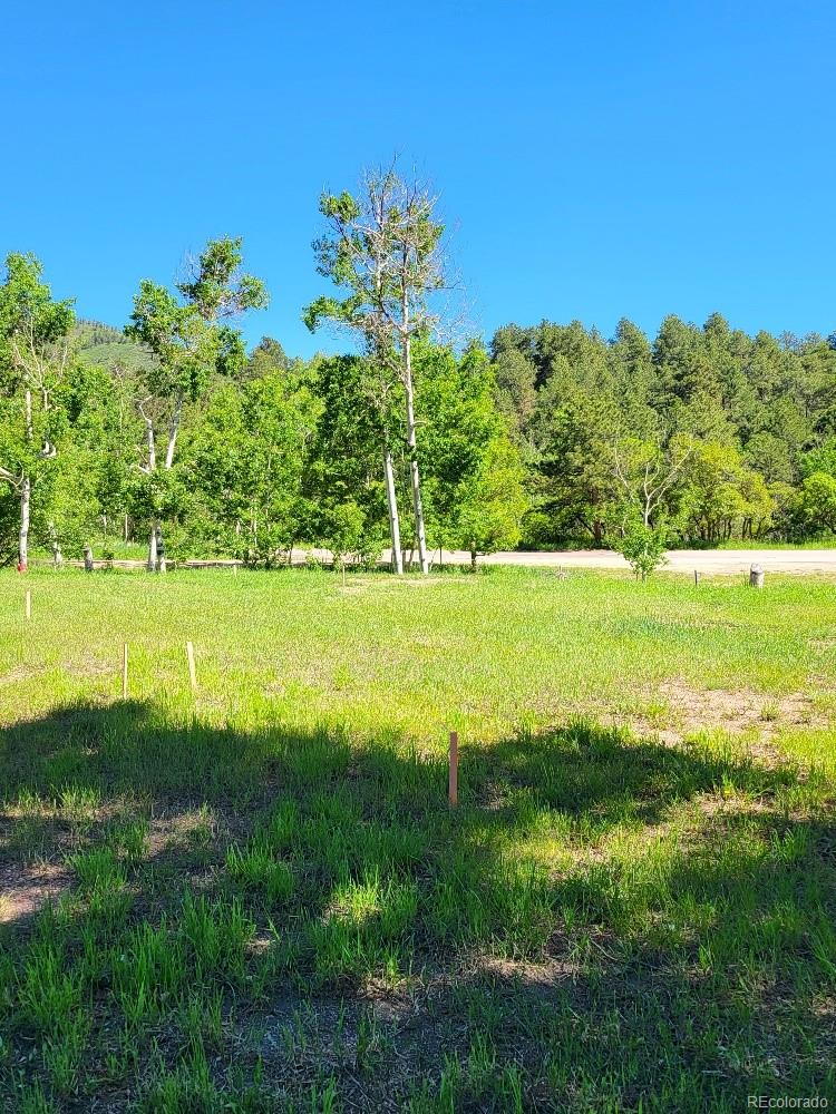 141 Virginia Ave, Palmer Lake, CO 80133