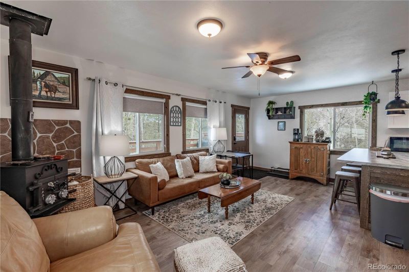 577 Horseshoe Dr, Divide, CO 80814