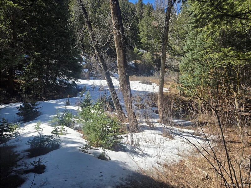 Fall River Rd, Idaho Springs, CO 80452