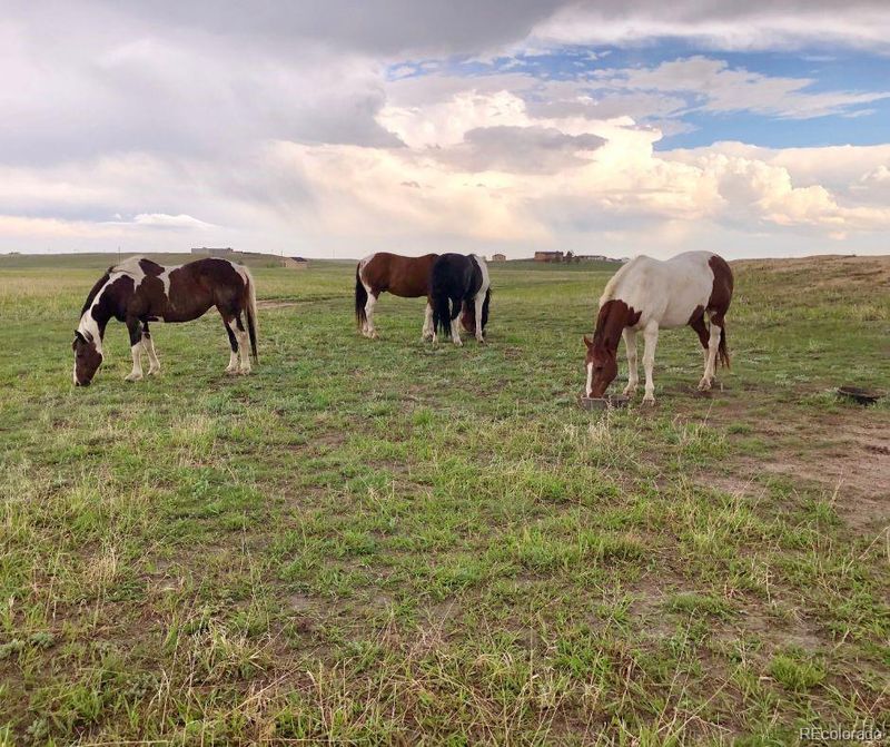 14350 Bradshaw Rd, Peyton, CO 80831
