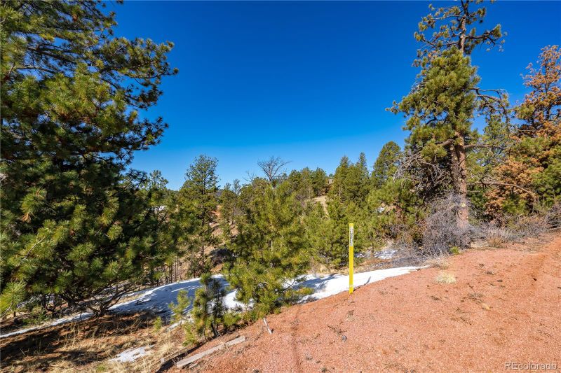 57 Midday Cir, Cripple Creek, CO 80813
