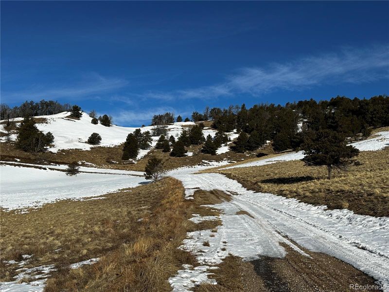 493 Schierl Rd Lot 493, Fort Garland, CO 81133