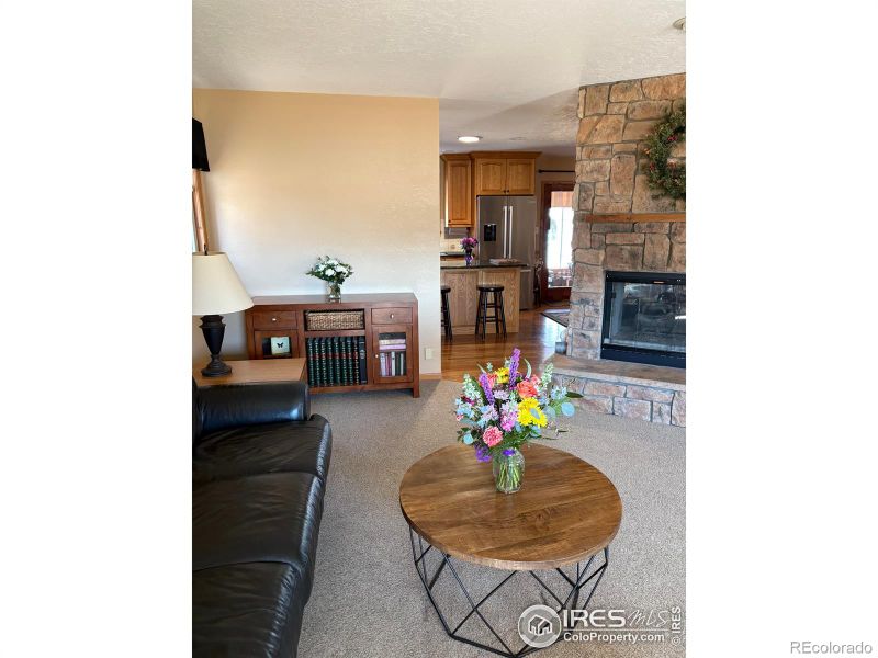 316 Oak St, Windsor, CO 80550