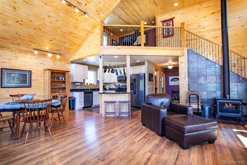 544 Glacier Ridge Rd, Alma, CO 80420