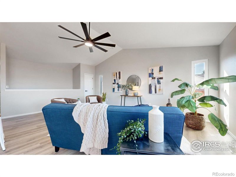 542 Springwood Ct, Windsor, CO 80550