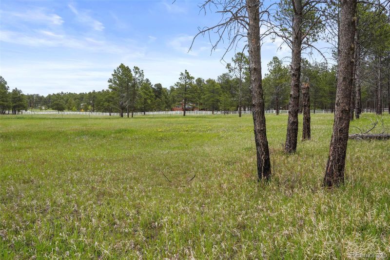 7590 Pinery, Colorado Springs, CO 80908