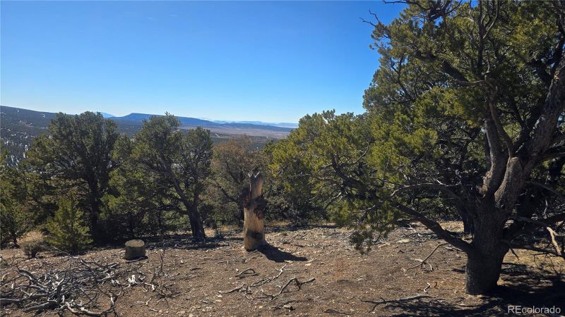 Lot 7527 Mcgillicuddy Rd, Fort Garland, CO 81133