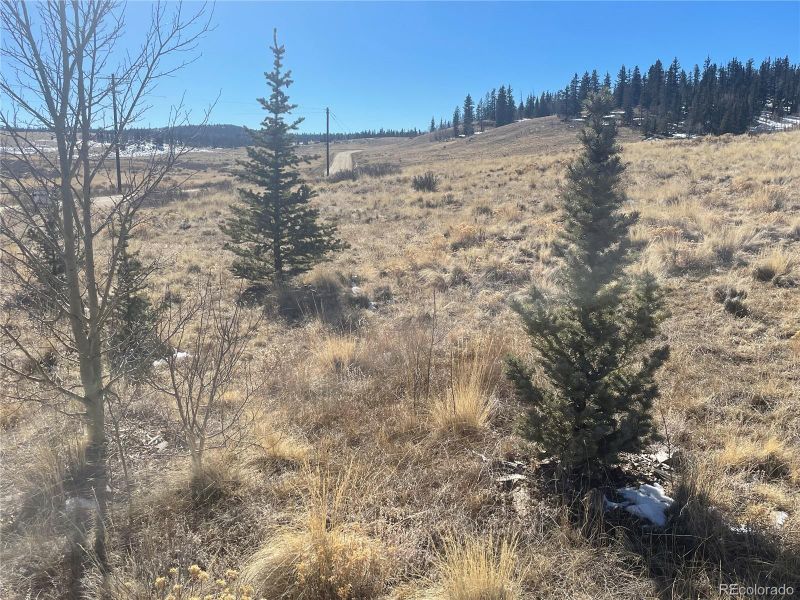 2039 Arrowhead Dr, Como, CO 80432