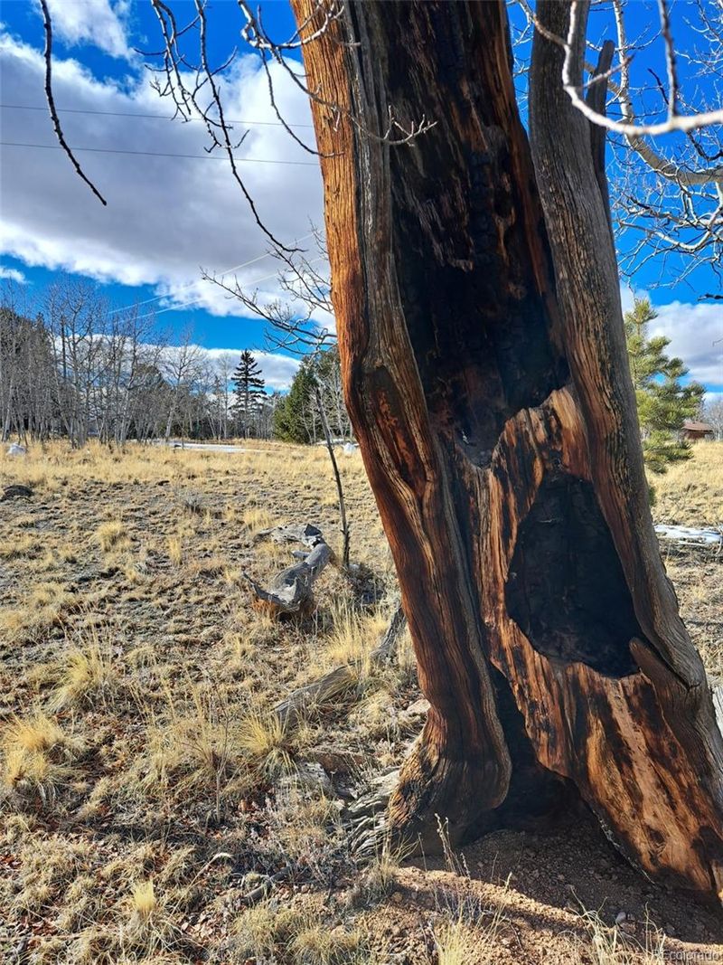 560 Raven Way, Como, CO 80432