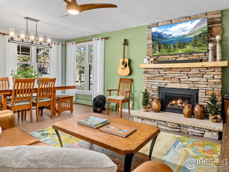 249 E Riverside Dr, Estes Park, CO 80517