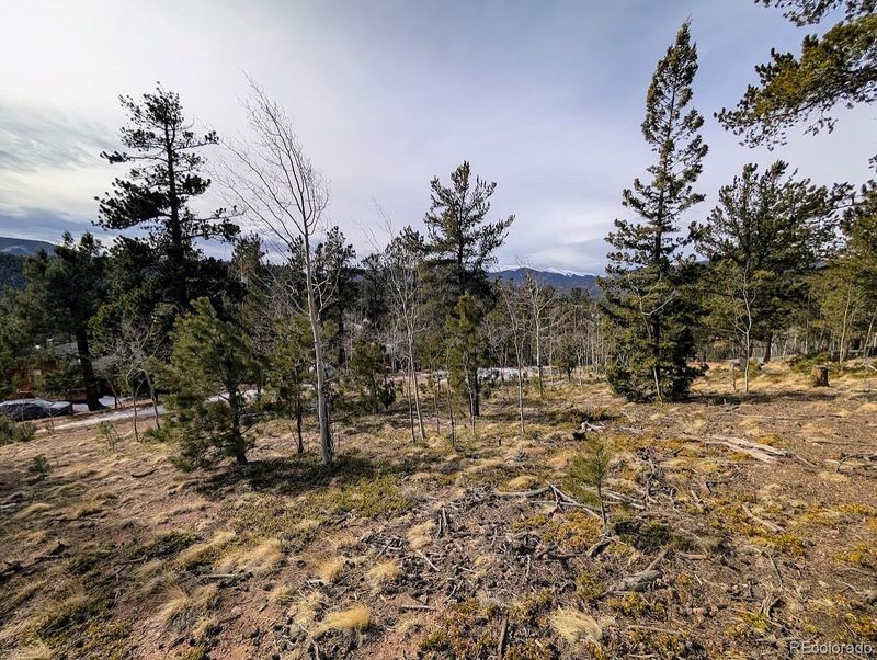 288 Hayes St, Bailey, CO 80421