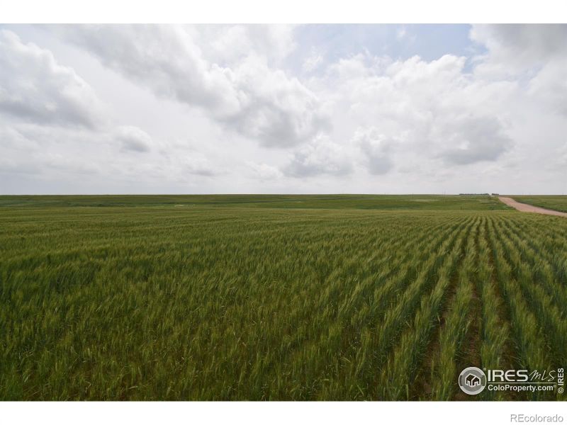 County Road 57, Yuma, CO 80759