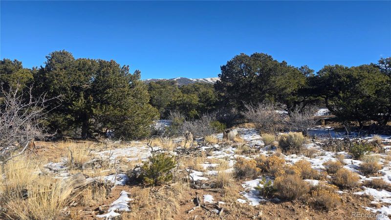 Lot 2027 Edmond Rd, Fort Garland, CO 81133