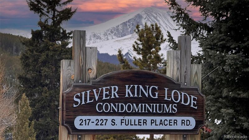 223 S Fuller Placer Rd #4, Breckenridge, CO 80424