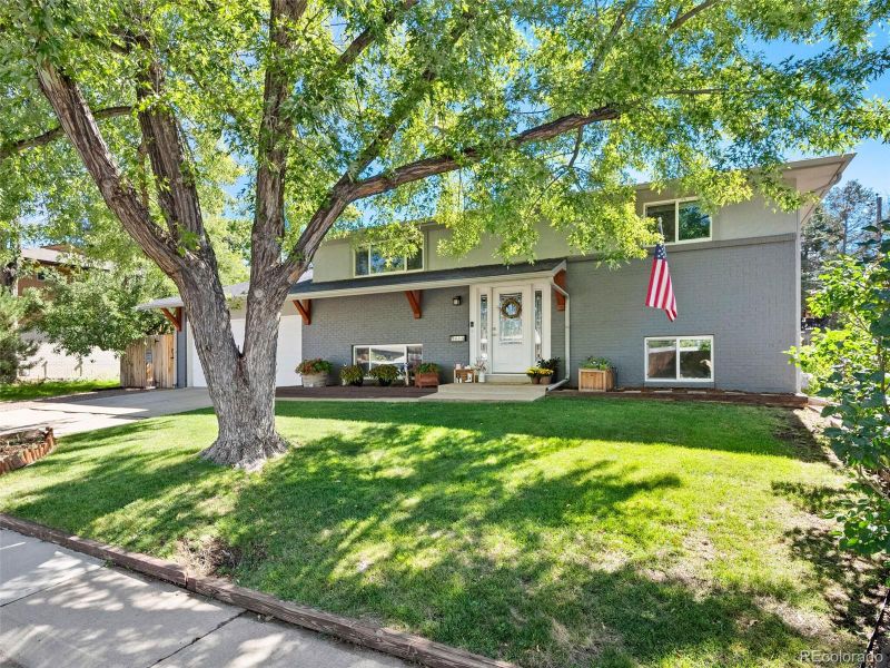 6684 S Buffalo Dr, Littleton, CO 80120