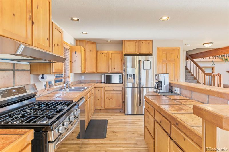 100 Mable Ln, Bailey, CO 80421