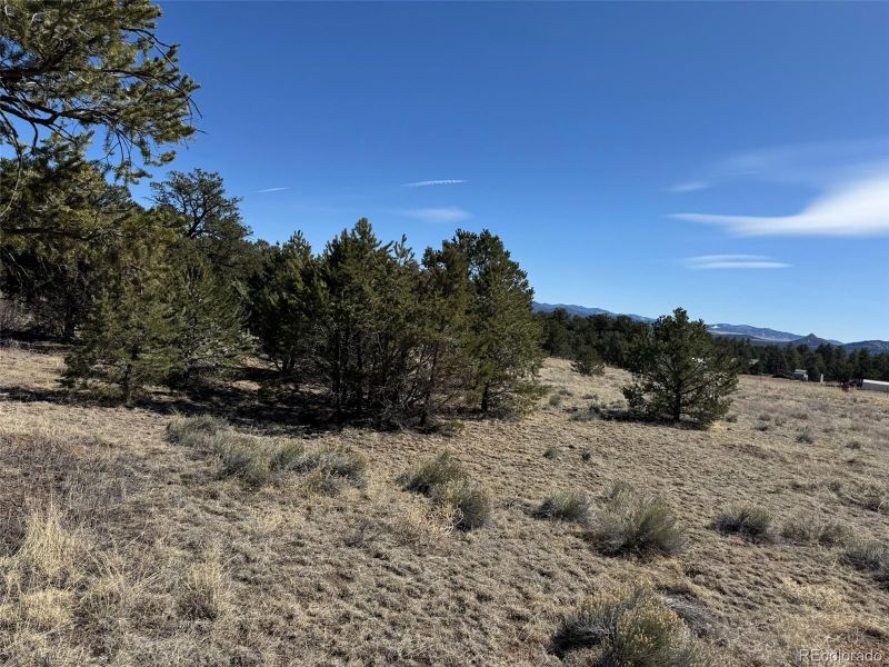 TR-118 32nd Trl, Cotopaxi, CO 81223