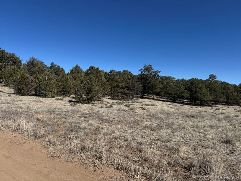 TR-118 32nd Trl, Cotopaxi, CO 81223