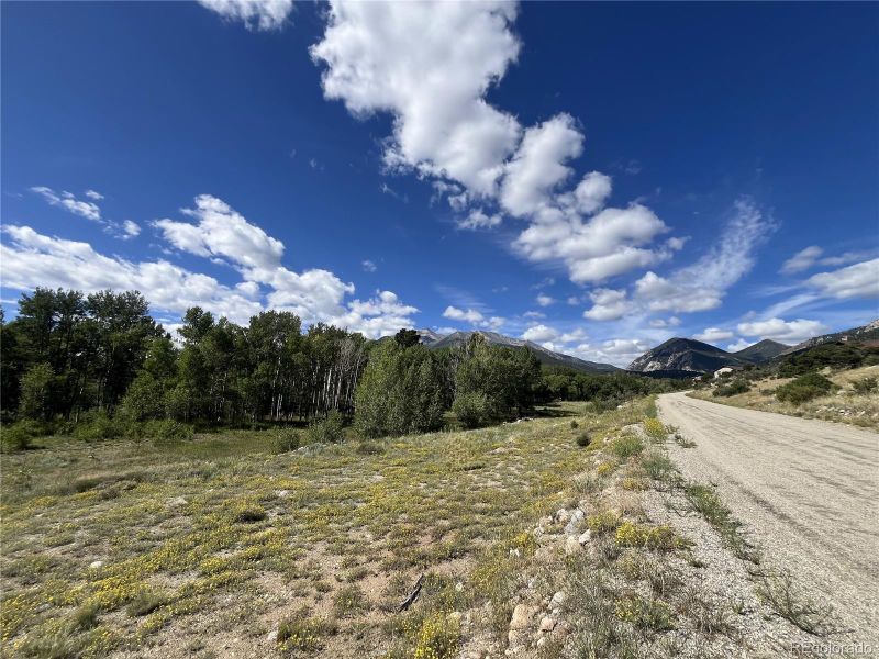 17541 Trout Cir Lot 12, Buena Vista, CO 81211