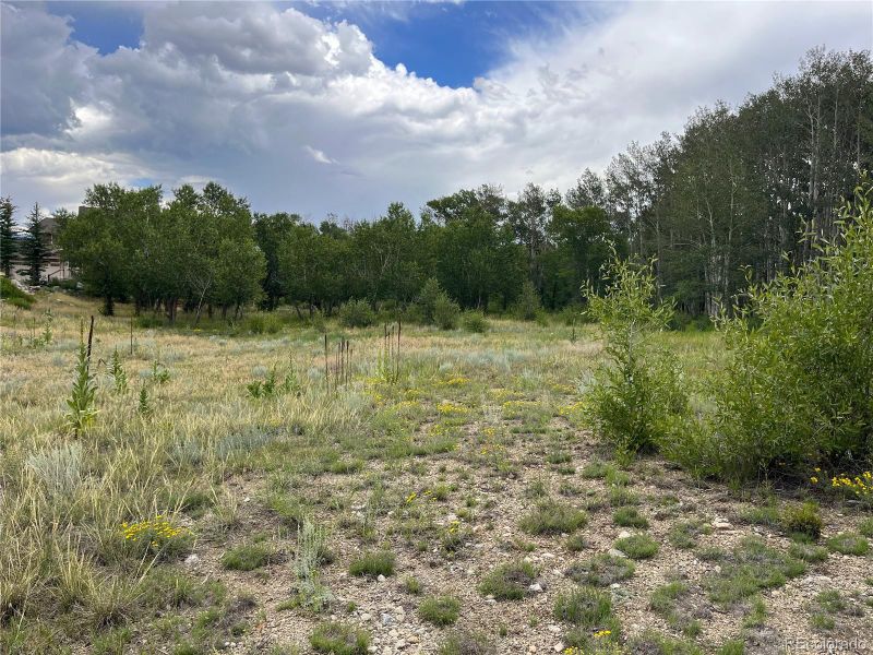 17541 Trout Cir Lot 12, Buena Vista, CO 81211