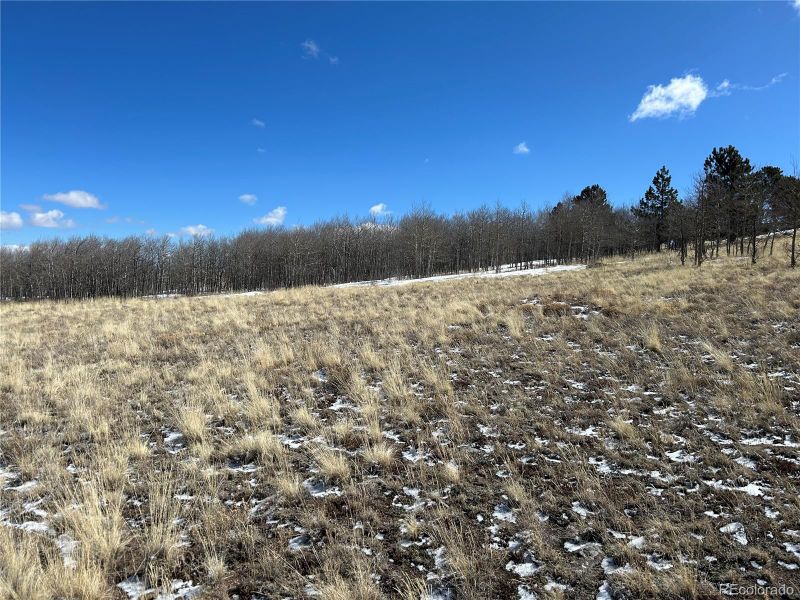 68 Mower Ct Lot 799, Hartsel, CO 80449