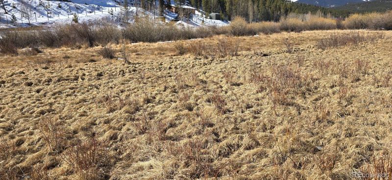 227 Moore St Lot 14, Bailey, CO 80421