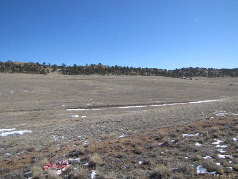1899 S Muley Gulch Dr, Hartsel, CO 80449