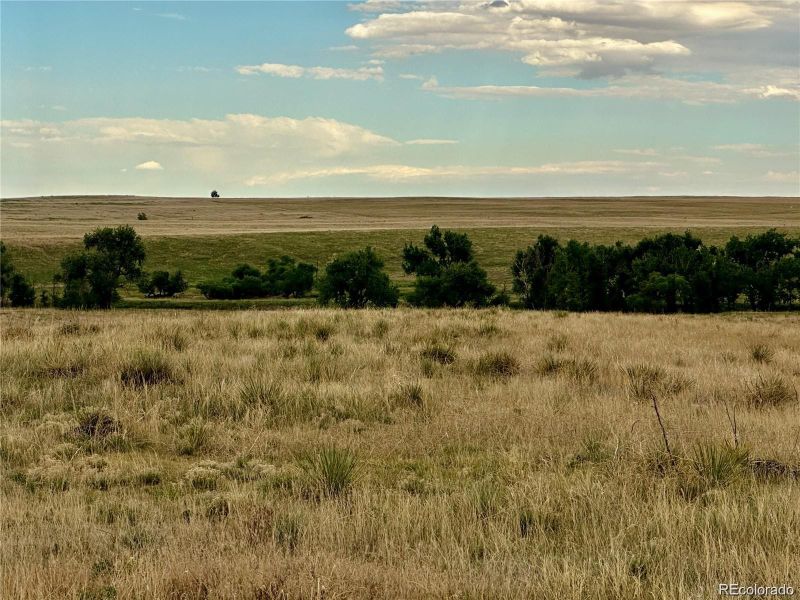 13414 Buck Draw Point, Kiowa, CO 80102