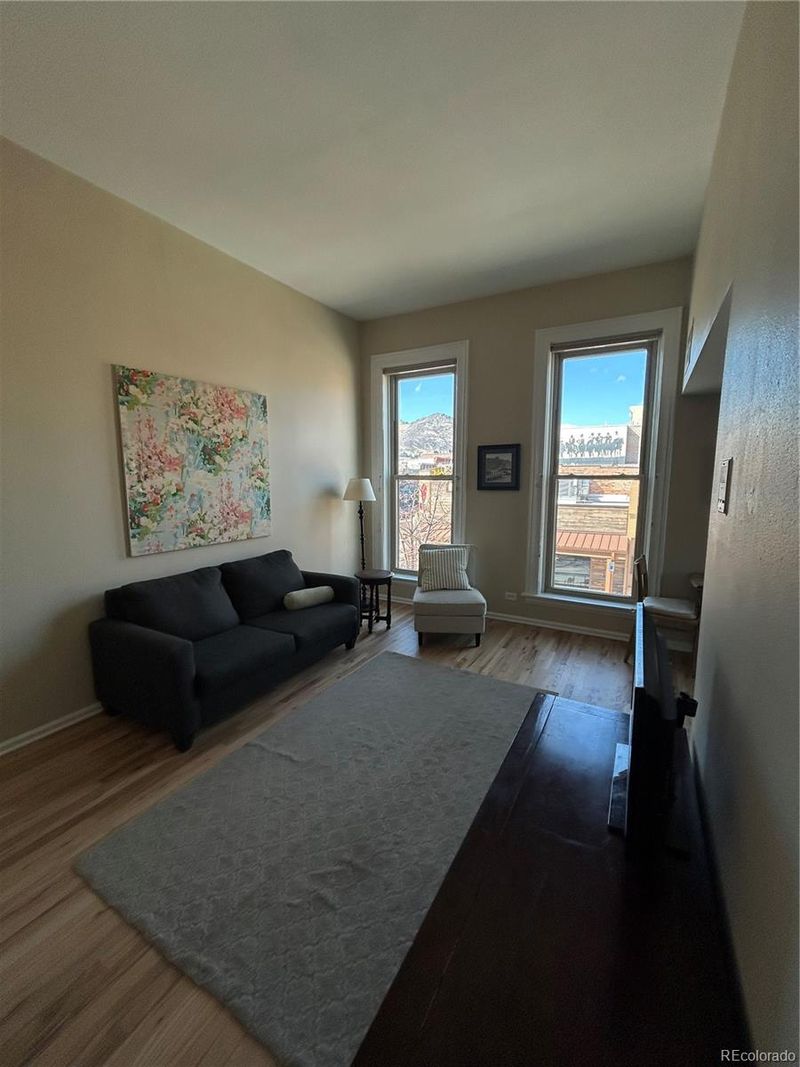 1203 Washington Ave #201, Golden, CO 80401