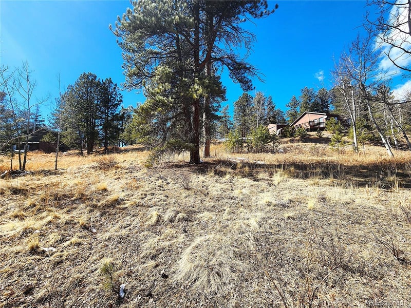 144 Gray St, Bailey, CO 80421