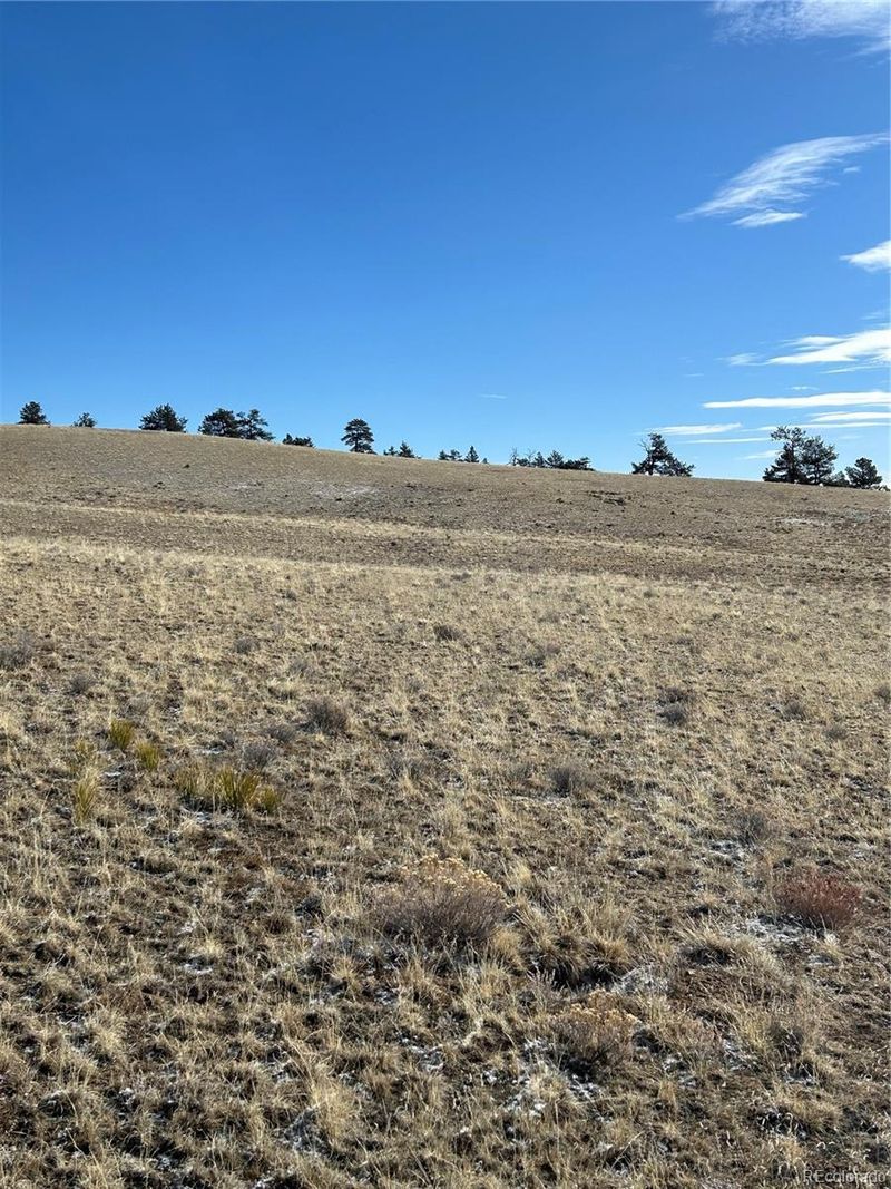 69 Buggy Ct Lot 65, Hartsel, CO 80449