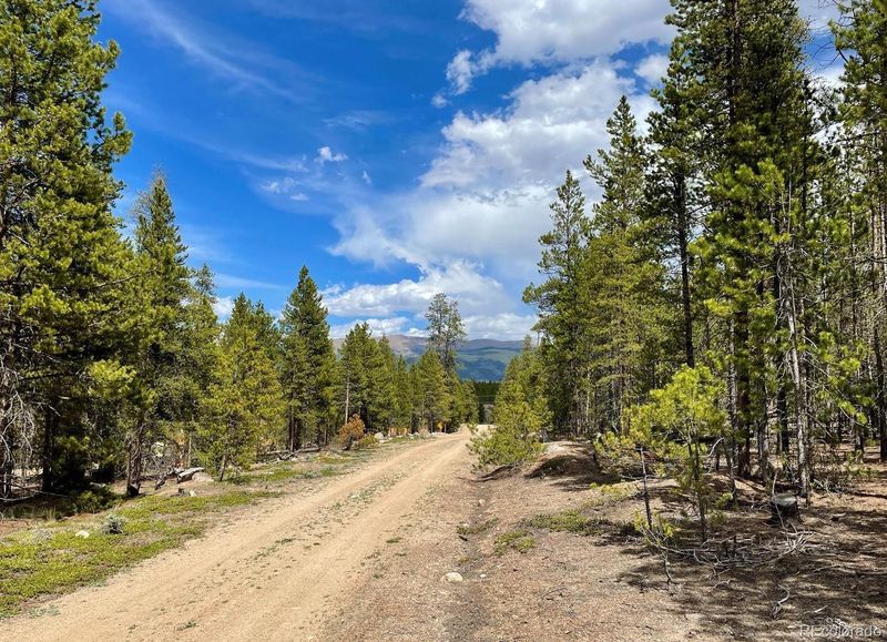 267 Juniper Dr Lot 370, 371, Twin Lakes, CO 81251