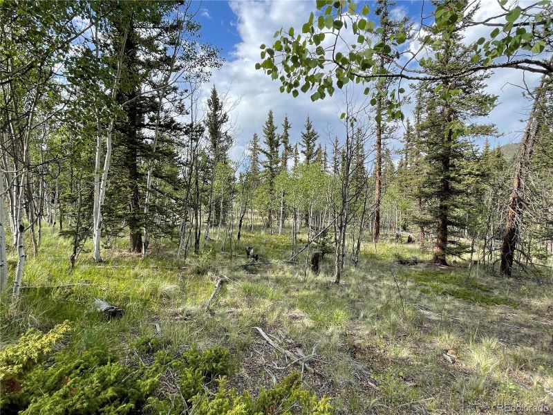80 Haida Way, Jefferson, CO 80456
