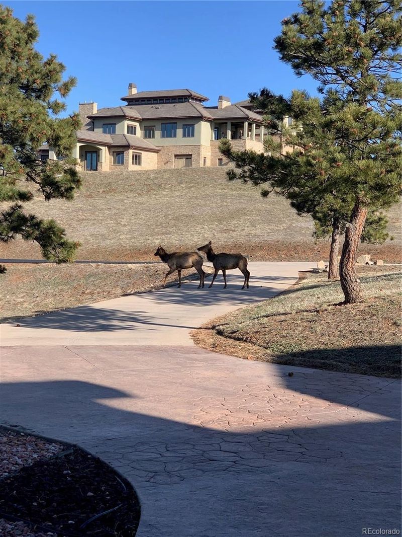 156 S Lookout Mountain Rd, Golden, CO 80401