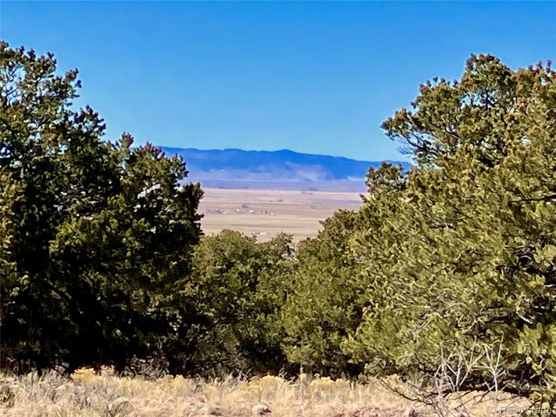 251 Baca Grant Way, Crestone, CO 81131