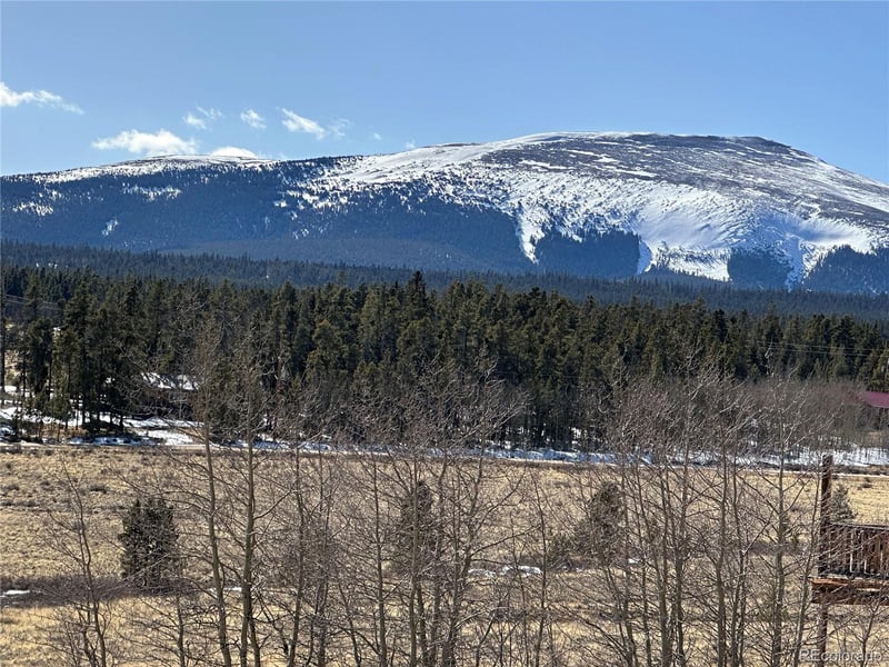 Foxtail Ct, Fairplay, CO 80440