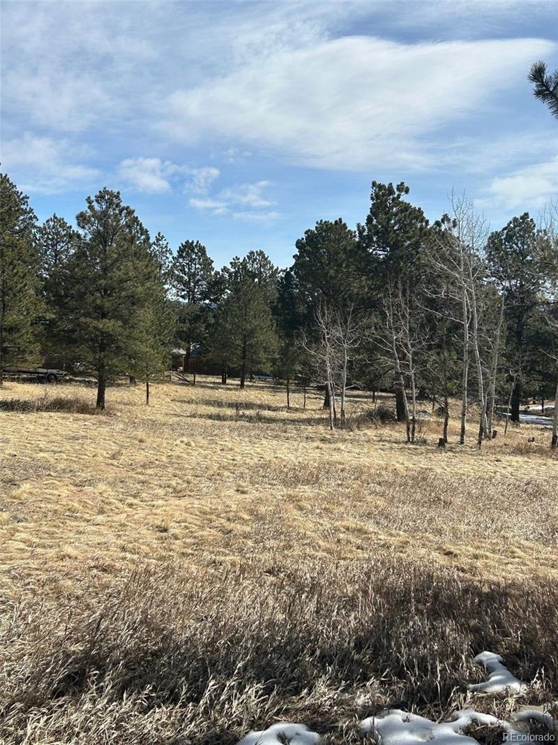 38 Doe Cir, Bailey, CO 80421