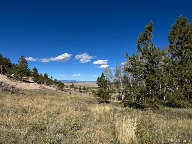 8093 Ranch Rd Lot 859, Hartsel, CO 80449