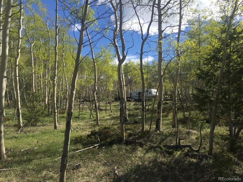 8093 Ranch Rd Lot 859, Hartsel, CO 80449