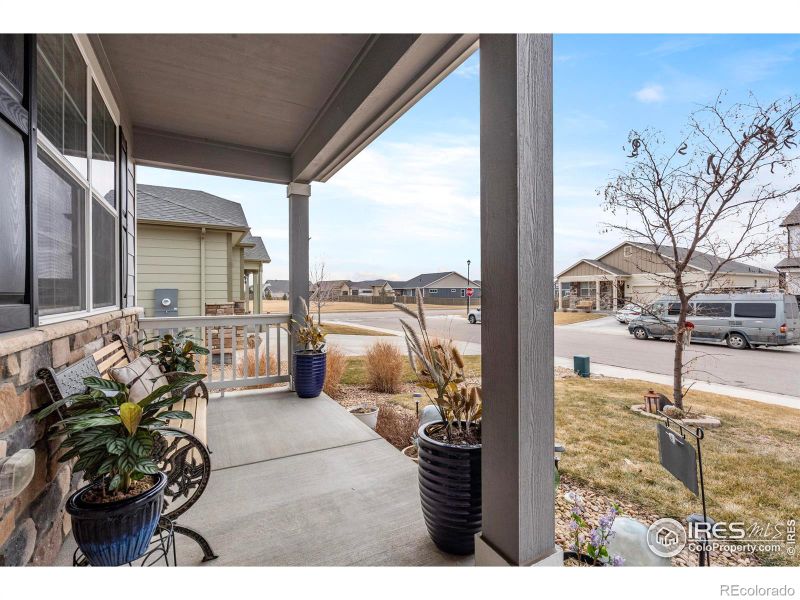 516 Buckrake St, Severance, CO 80550