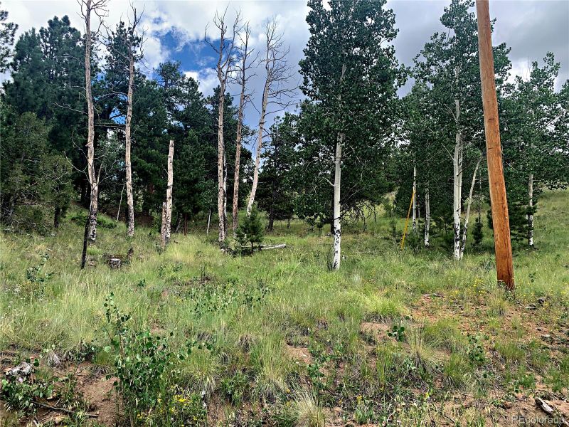 952 Penrose Cir, Cripple Creek, CO 80813