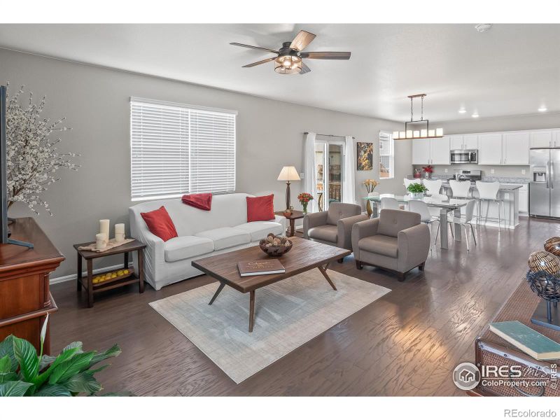 913 Keneally Ct, Windsor, CO 80550