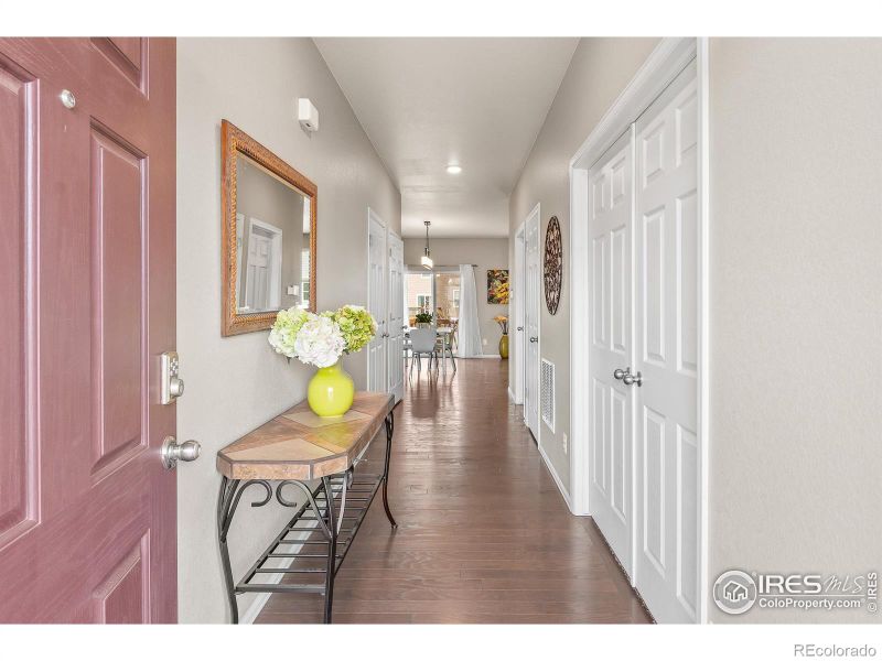 913 Keneally Ct, Windsor, CO 80550