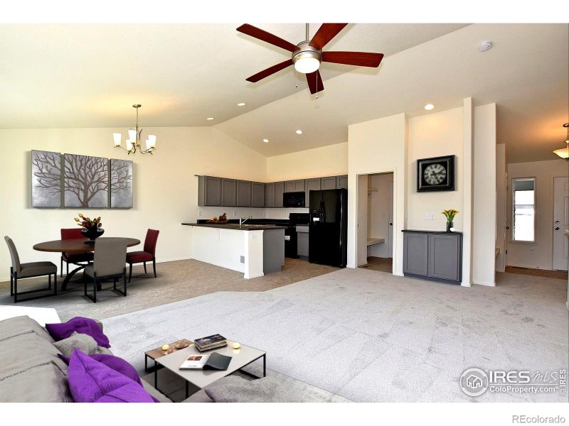 439 Luminous Dr, Windsor, CO 80550