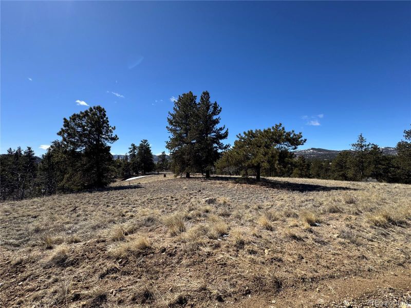 0 Aspen Trl Lot 191, Hartsel, CO 80449