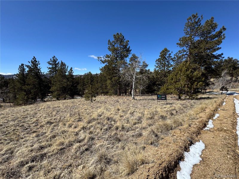 0 Aspen Trl Lot 191, Hartsel, CO 80449