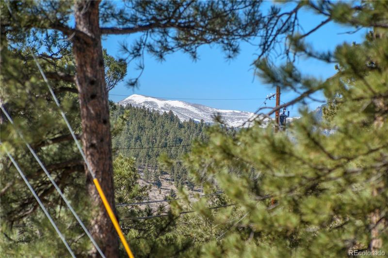 29309 Buchanan Dr, Evergreen, CO 80439