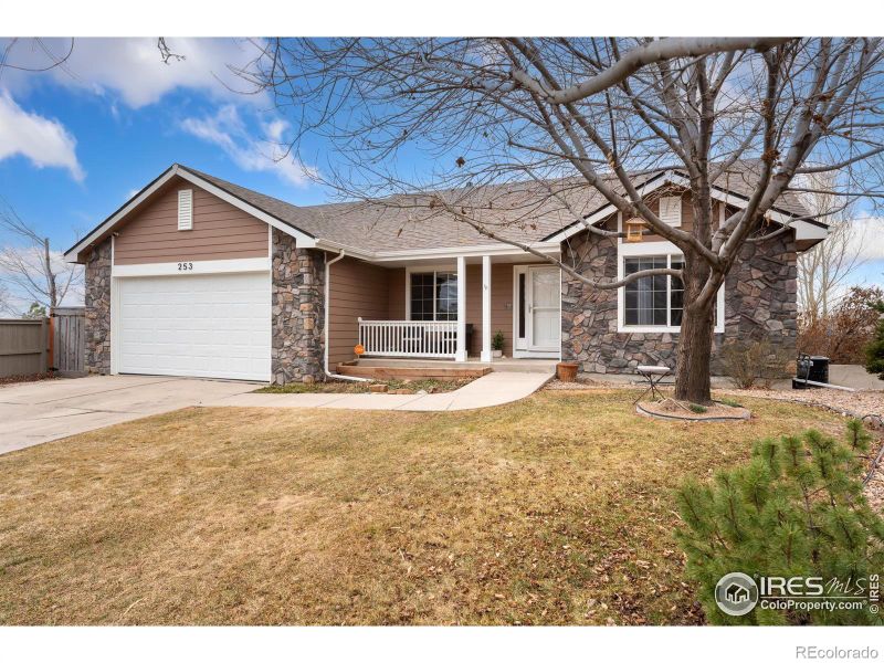 253 Timber Ridge Ct, Severance, CO 80550