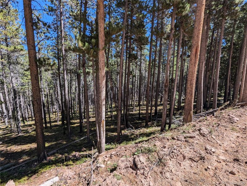 3412 Drexler Pl, Fort Garland, CO 81133