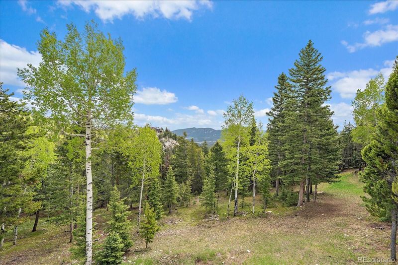 11222 Conifer Mountain Rd, Conifer, CO 80433